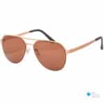 Radar Sunglass