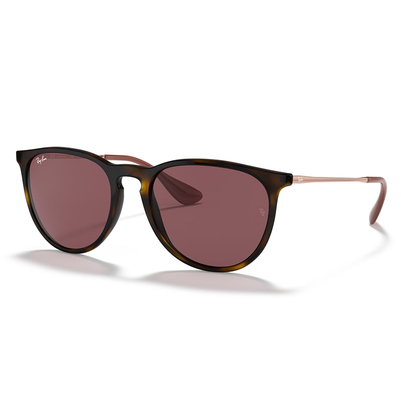 Ray-Ban Sunglasses Erika