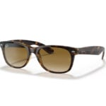 Rayban Sunglasses