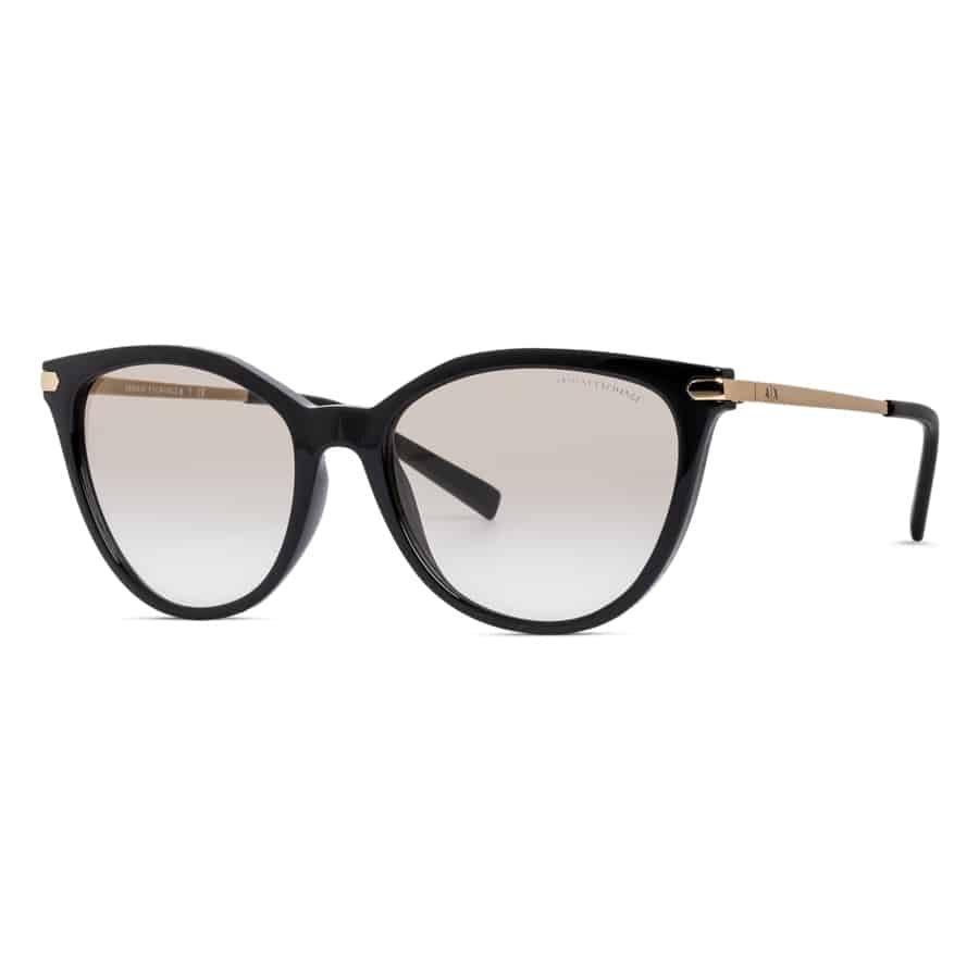 Armani Exchange women's sunglass AX4107s