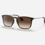Rayban Sunglass 4187