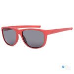 Iarra Sunglasses