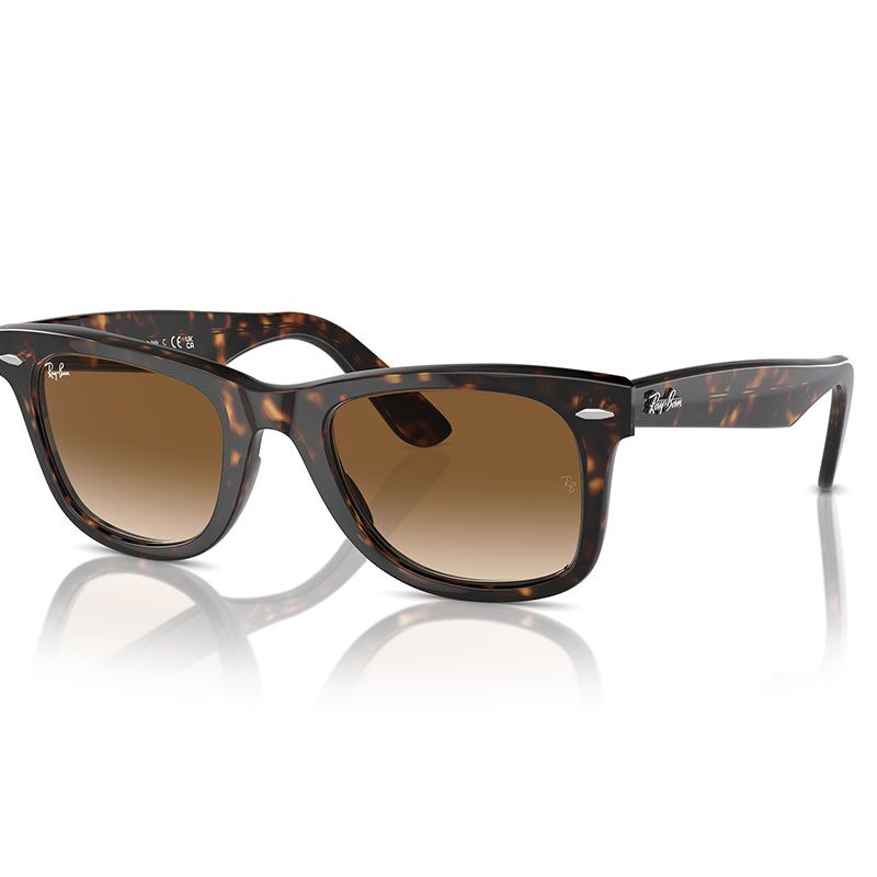 Ray-Ban Wayfarer Sunglasses