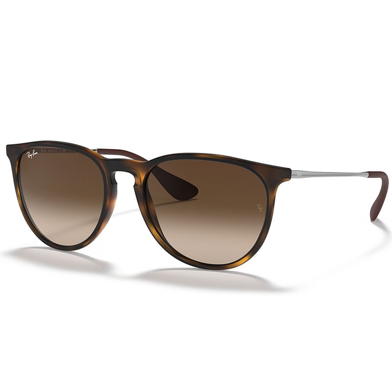 Ray-Ban Erika Sunglasses