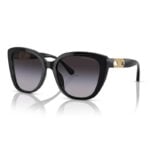Emporio Armani Sunglasses