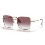 Emporio-Armani-Sunglasses-0EA2128D