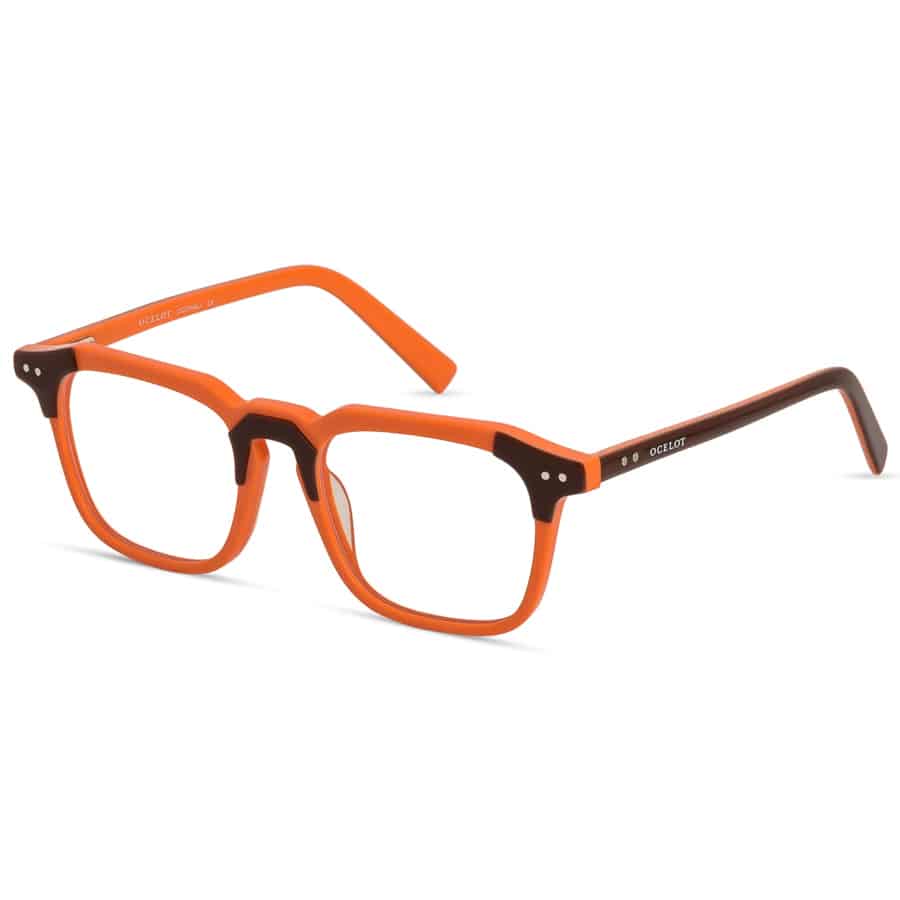 Funky Unisex Glasses
